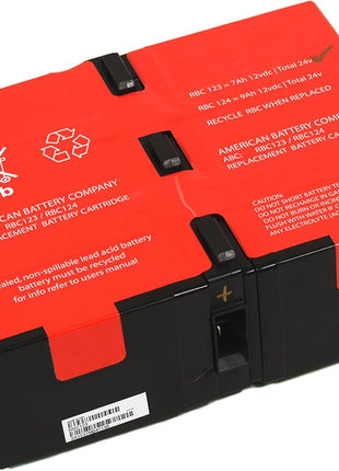 RBC124 UPS Replacement Battery for APC