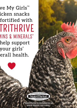 Love My Girls: Chicken Snacks - Pumpkin & Worms - 2lb Bag - Global Harvest, Gourmet Multi-Grain Treats, Corn-Free, Nutritious & Protein Rich Mealworms