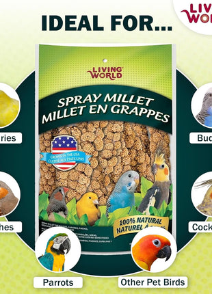Living World - Millet Spray for Birds, 3.5 Oz 芒聙聯 Premium Treat for Budgies, Canaries, Finches, Cockatiels and Other Pet Birds