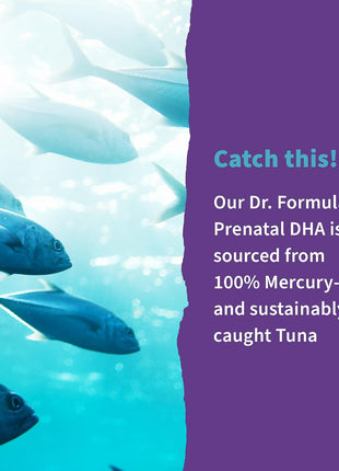 Garden of Life Dr. Formulated Prenatal DHA Fish Oil - 500mg DHA & DPA in Triglyceride Form 100% DV Vitamin D3, Single Source, Mercury Free Omega 3 Supplements for Women's Health, 30 Softgels