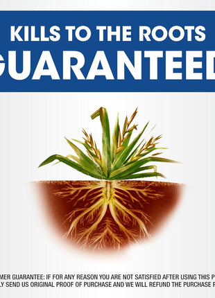 Roundup Weed and Grass Killer4 with Pump 'N Go 2 Sprayer, Use in and Around Flower Beds, Trees & More, 1.33 gal.