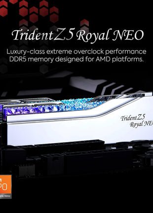 G.SKILL Trident Z5 Royal Neo Series DDR5 RAM (AMD EXPO) 32GB (2x16GB) 6400MT/s CL32-39-39-102 1.40V Desktop Computer Memory U-DIMM - Silver (F5-6400J3239G16GX2-TR5NS)