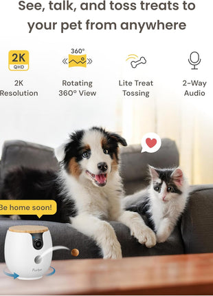 Furbo Mini 360° 2K QHD Pet Camera: Basic See, Talk & Toss Features, No AI Alerts, No Subscription Required, Dog & Cat Rotating Treat Dispenser w/Phone App, Smart Indoor Cam, 2-Way Audio & Night Vision