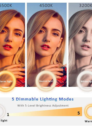 Video Conference Lighting Kit, Ring Light for Monitor Clip On | for Remote Working, Distance Learning,Zoom Calls, Self Broadcasting and Live Streaming, Computer Laptop Video Conferencing