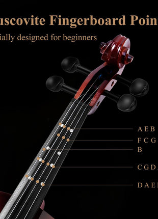 Eastar 3/4 Violin for Beginners, Violins Kit for Student, Fiddle with Hard Case, Rosin, Shoulder Rest, Bow, and Extra Strings (Imprinted Finger Guide on Fingerboard)