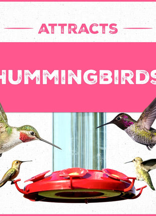 Pennington Electro-Nectar Hummingbird Nectar Ready to Use, Naturally Colored with Electrolytes, 64-oz Bottle