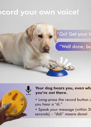 Interactive Dog Puzzle Feeder Toy, Automatic Dogs Treat Dispenser for IQ Training & Slow Feeder, Dog Food Dispenser with Remote Button, Suitable for Indoor or Outdoor Play, All Breeds, OtterVerz 11