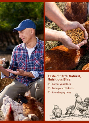 Dried Black Soldier Fly Larvae 10LB, 100% Natural Non-GMO, No Additives, Treat for Chickens, Reptiles and Birds, More Calcium Than Mealworms