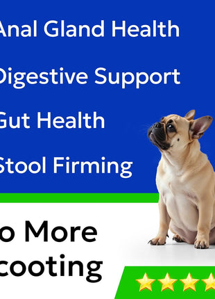 Anal Gland Guard Support + Allergy Relief Chews Bundle - Scoot Treatment - Dry & Itchy Skin Relief - Itching, Paw Licking & Hot Spots - Digestive Enzymes & Breath Aid Support - Made in USA