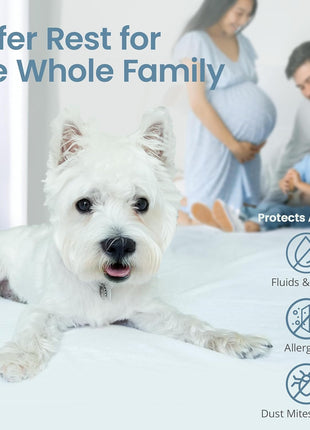 SafeRest Waterproof Queen Size Mattress Protector   Fitted with Stretchable Pockets   Machine Washable Cotton Mattress Cover for Bed