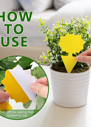 Fruit Fly Traps Indoor Fungus Gnat Trap 48PCS for Plants Yellow Houseplants Outdoor Use Insect Sticky