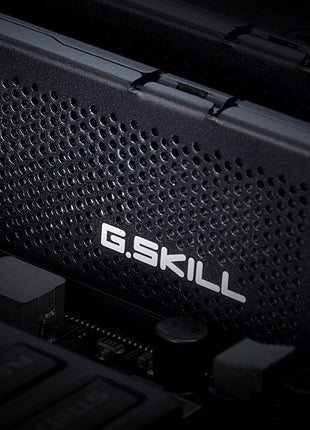 G.SKILL Ripjaws S5 Series DDR5 RAM (Intel XMP 3.0 & AMD EXPO) 32GB (2x16GB) 5200MT/s CL40-40-40-83 1.10V Desktop Computer Memory U-DIMM - Matte Black (F5-5200J4040A16GX2-RS5K)