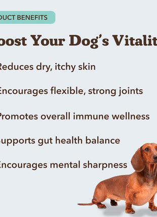 Natural Dog Company Hip & Joint Chews & Wild Alaskan Salmon Oil Bundle – 180 Ct Glucosamine Supplement + 32 oz Omega-3 Fish Oil for Dogs, Mobility, Joint, Skin & Coat Support