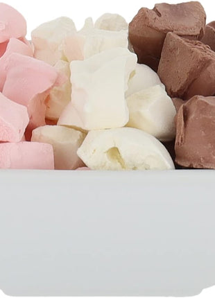 Arctic Farms Freeze Dried Ice Cream that Does Not Melt (Neapolitan, 1 Ounce)