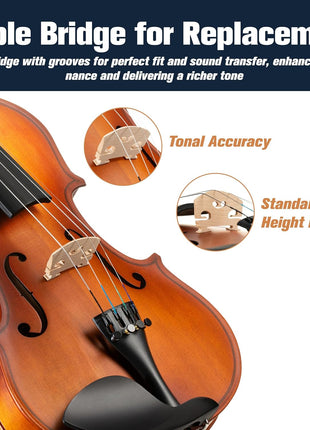 Mendini By Cecilio 1/2 Violin Set For Beginners - Fiddle Solidwood Kit with Hard Case - Acoustic Violin with Bow, Rosin, Tuner, Extra Strings & Bridge, Shoulder Rest and Lesson Book (Satin Antique)
