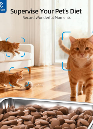 PAPIFEED Automatic Cat Feeder with Camera, 1080P HD & Night Vision, 6L Cat Food Dispenser with App, 5G WiFi Timed Cat Feeder for Dry Food, 2-Way Audio, Smart Pet Feeder for Dog, 1-10 Meals/Day, Grey