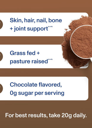 Vital Proteins Collagen Peptides Powder, Chocolate, 13.5oz | Grass-Fed Collagen Peptides, Supports Hair Skin & Nails, Bones & Joints, Chocolate Flavor, 14 Servings