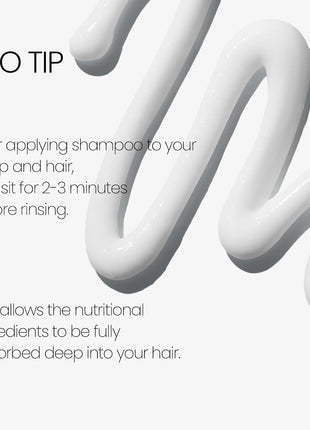 LABO-H Scalp Strengthening Shampoo with Scalp Strengthening Roll-On Serum for Hair Growth & Anti-Loss | Vegan Korean Haircare with Rosemary Oil