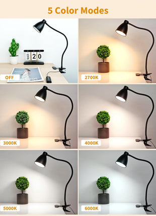 BOHON Desk Lamp 5 Color Modes 10 Brightness Dimmer Reading Light 10W 38 LED Clamp Lamp with Auto Off Timer 360° Flexible Neck Clip on Light for Bed Bedside, AC Adapter Include