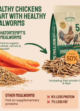 Hatortempt Dried Mealworms - Non-GMO & Organic - High-Protein Mealworms for Wild Bird Food, Ducks & Chickens (5lb)