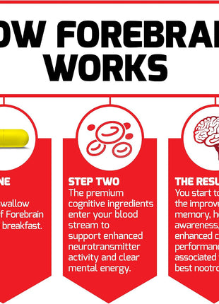 Forebrain Nootropic Brain Supplement to Improve Memory, Boost Focus, Increase Mental Energy, and Support Brain Health with Caffeine, Bacopa, and Huperzine A, Force Factor, 30 Capsules (Pack of 2)