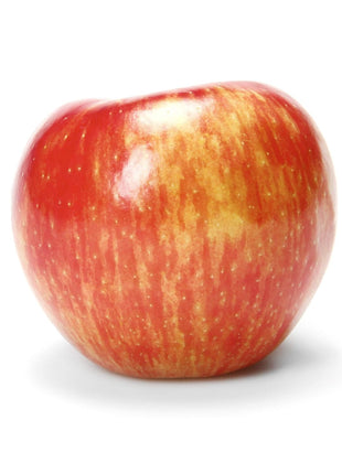 Honeycrisp Apple