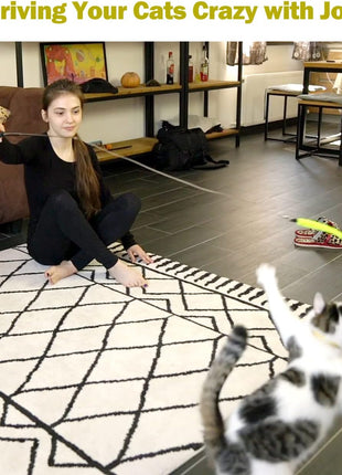 Cat Toys for Indoor Cats, Interactive Cat Toy 2PCS Retractable Wand Toy and 9PCS Cat Feather Toys Refills, Funny Kitten Toys Cat Fishing Pole Toy for Bored Indoor Cats Chase and Exercise