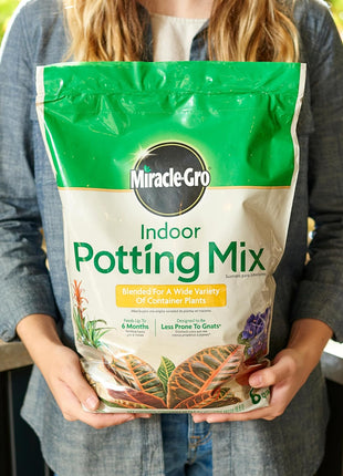 Miracle-Gro Indoor Potting Mix, Blended for a Variety of Houseplants, Feeds for up to 6 Months, 6 qt., 2-Pack