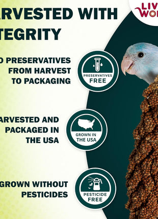 Living World - Millet Spray for Birds, 3.5 Oz 芒聙聯 Premium Treat for Budgies, Canaries, Finches, Cockatiels and Other Pet Birds