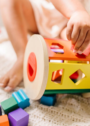 Melissa & Doug Match and Roll Shape Sorter - Classic Wooden Toy