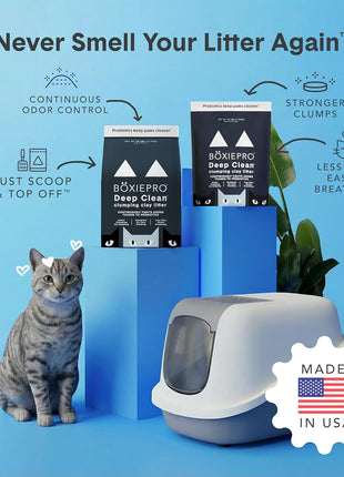 Boxie Probiotic Cat Litter, 40 Day Odor Control, Clumping Clay Kitty Litter, Odor Eliminating Probiotics, Dust-Free, No Fragrances No Fillers, 16 lb