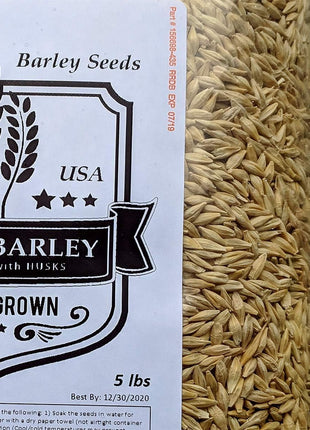 Barley Seeds - All Natural 5 Pounds Whole Barley Seed for Juicing, Malt Brewing, Beer Making