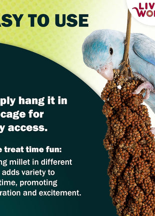 Living World - Millet Spray for Birds, 3.5 Oz 芒聙聯 Premium Treat for Budgies, Canaries, Finches, Cockatiels and Other Pet Birds
