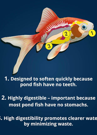TetraPond Koi Vibrance Soft Sticks, Floating Pond Fish Food for Koi Fish and Ornamental Goldfish, 2.42 Pounds