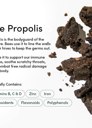 Propolis Throat Spray by Beekeeper's Naturals   95% Bee Propolis Extract, Natural Immune Support & Sore Throat Relief   Antioxidants, Keto, Paleo, Gluten Free (1.0 oz)(Pack of 1)