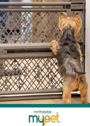 MYPET Paws Portable Pet Gate: 26-40" Wide Expandable, Pressure Mounted No Tools Needed, Durable Dog Gate for Doorways, Made in USA, 23" Tall, Fieldstone Gray