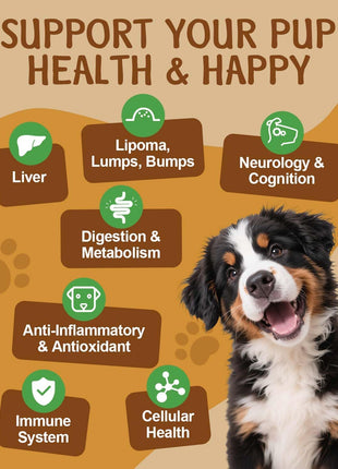 9 in 1 Dog Mushroom Powder & Drops