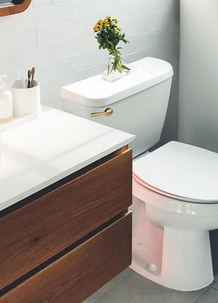 Korky 6094BP StrongARM Tank Lever, Universal to Fit Front Angled Side Left and Right Mount Toilets, Brushed Gold, Simple Style