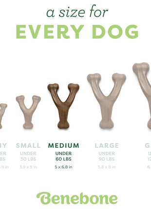 Benebone Wishbone Durable Dog Chew Toy for Aggressive Chewers, Real Bacon, Made in USA, Medium | Durable, Super Chewer, Made in USA, Dog Bones, Long-Lasting, A Size for Every Dog, Keeps Them Busy