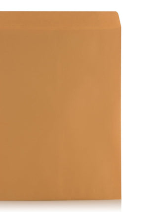 Aimoh 9 X 12 Self-Seal Brown Kraft Catalog Mailing Envelopes - 28lb - 100 Count, 9x12 Inch (38300)