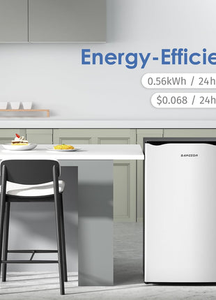 BANGSON Mini Fridge with Freezer, 3.2Cu.Ft, Single Door Small Refrigerator, Energy-Efficient, Low Noise, Mini fridge for Bedroom Dorm and Office, Silver