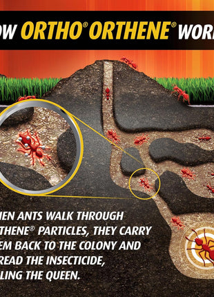 Ortho Orthene Fire Ant Killer1 – Mound Treatment, Outdoor Ant Killer, Kills Queens, No Watering Needed, Treats up to 162 Mounds, 12 oz. (2-Pack)