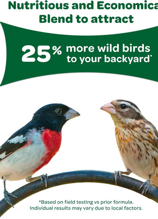Kaytee Wild Bird Basic Seed, 10 lb
