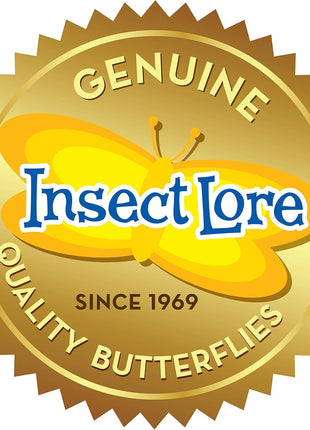 Insect Lore Raise and Release Butterfly Garden Kit – Caterpillar Habitat with redeemable Voucher – STEM-accredited Butterfly Growing Kit for Kids, Classrooms, and Homeschool Learning