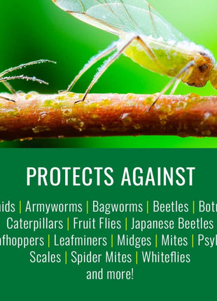 Natria Neem Oil Spray for Plants Pest Organic Disease Control, 24-Ounce, Ready-to-Use, 1.5 Pounds