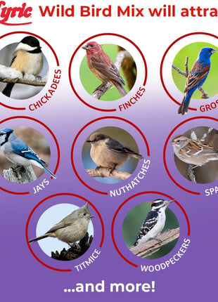 Lyric Wild Bird Mix - Includes Corn, Nuts, and Wild Bird Seed for Outside Feeders, Attracts Doves, Jays and Many More, 40 lb Bag