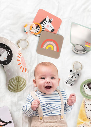 Taf Toys Newborn Developmental Toy Kit, Perfect for Boys and Girls, Includes 12 Essential Boy and Girl Toys for Learning and Stimulation, Ideal New Baby Gift Basket