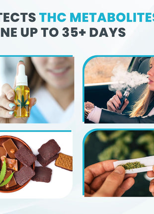 Exploro Highly Sensitive at Home Marijuana Drug Test Kit, THC Drug Test Kit Marijuana/Weed, THC Drug Test Urine, Easy Home Drug Test Marijuana/THC Substance Abuse, 15 THC Test Strips/Sticks, 50 ng/ml