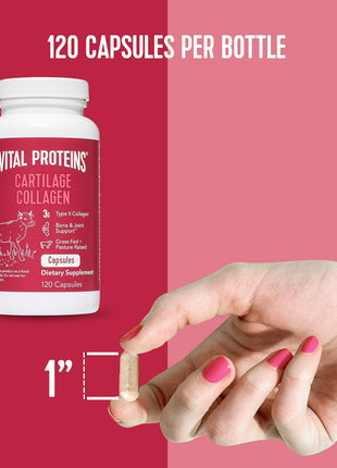 Vital Proteins Collagen Peptides Powder Unflavored 9.33 OZ Collagen Pills 120 Capsules