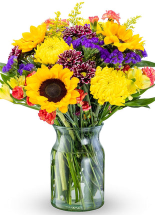Benchmark Bouquets - Flowering Fields Sunflower Bouquet - Fresh Flowers for Delivery - Real Flowers in a Vase - Birthday Flowers for Women - Congratulations Gift (Glass Vase Included)